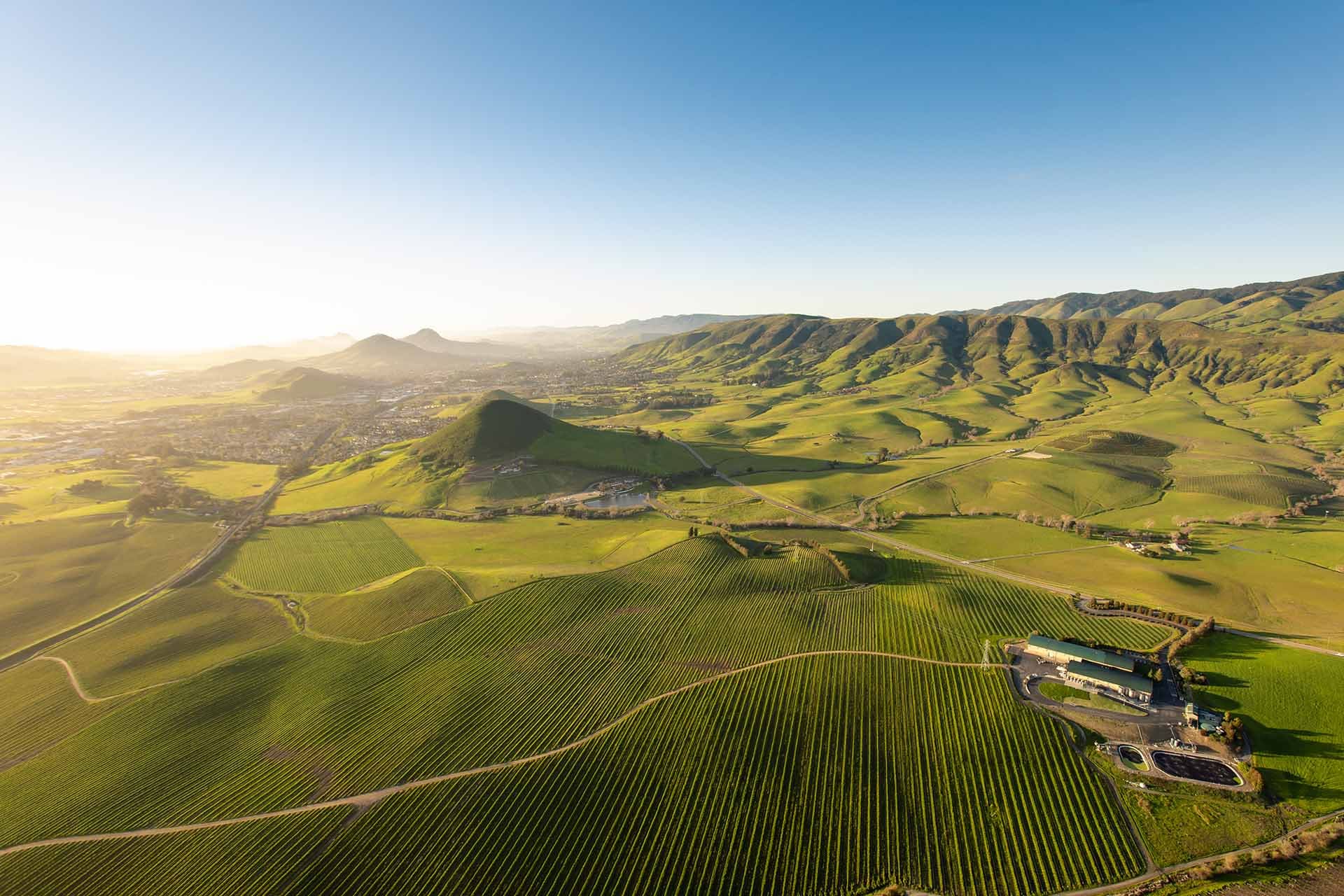 Landscape vista with vineyards of San Luis Obispo Coast Wine region, California.