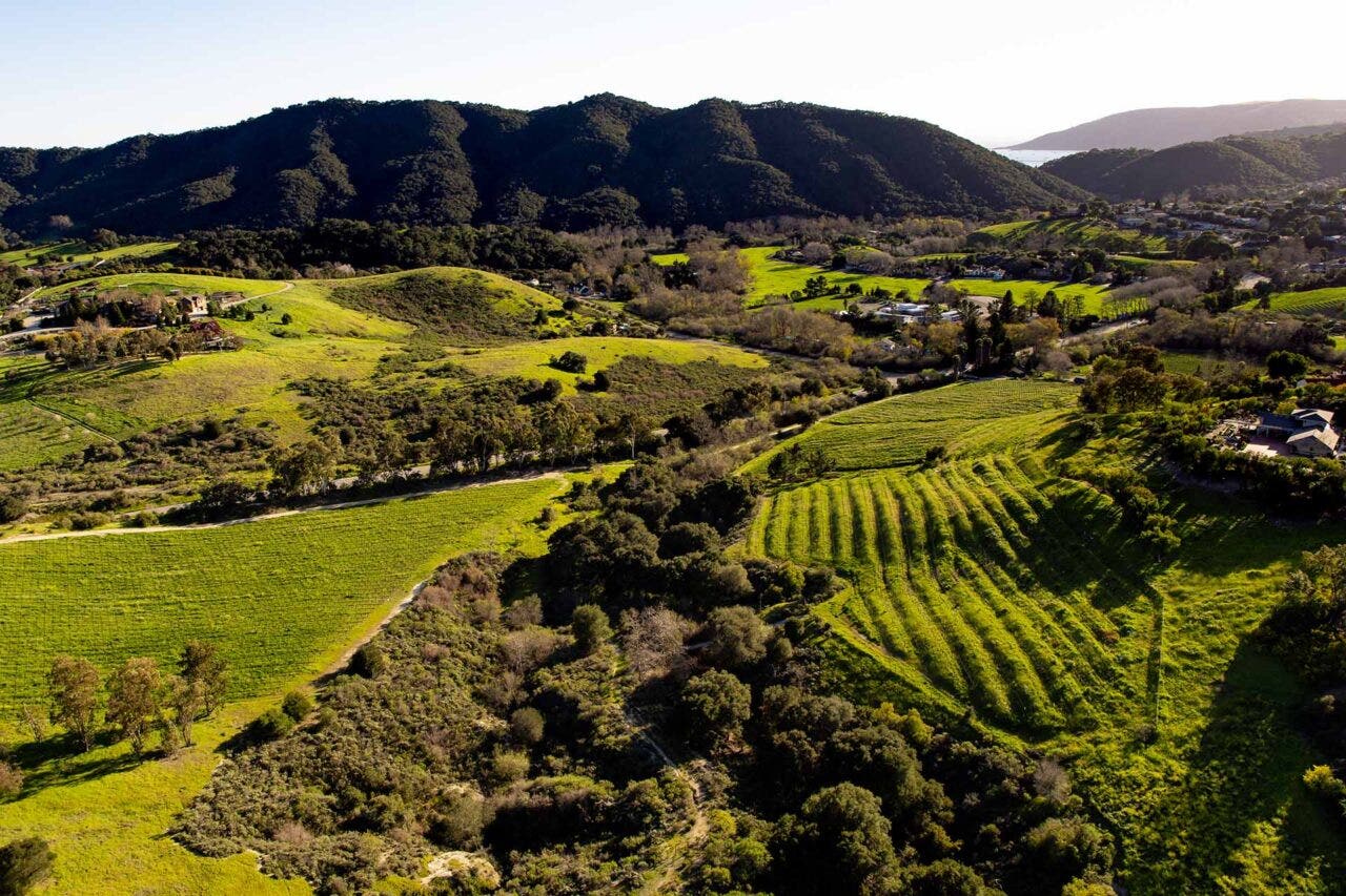 Landscape vista of San Luis Obispo Coast Wine region, California.