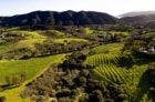 Landscape vista of San Luis Obispo Coast Wine region, California.