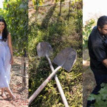Composite of Mexican-American winemakers and shovels in the vineyard