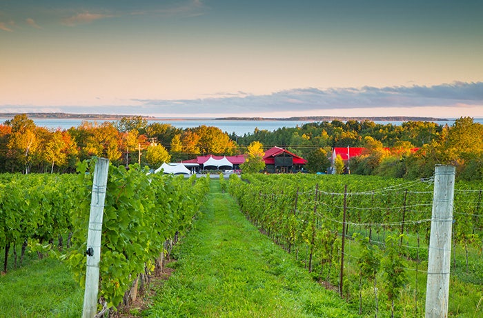 Jost Vineyards Nova Scotia