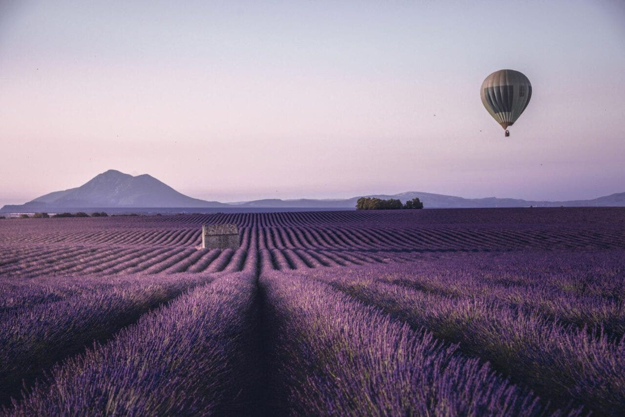 lavender fields and hot air balloon in Provence
