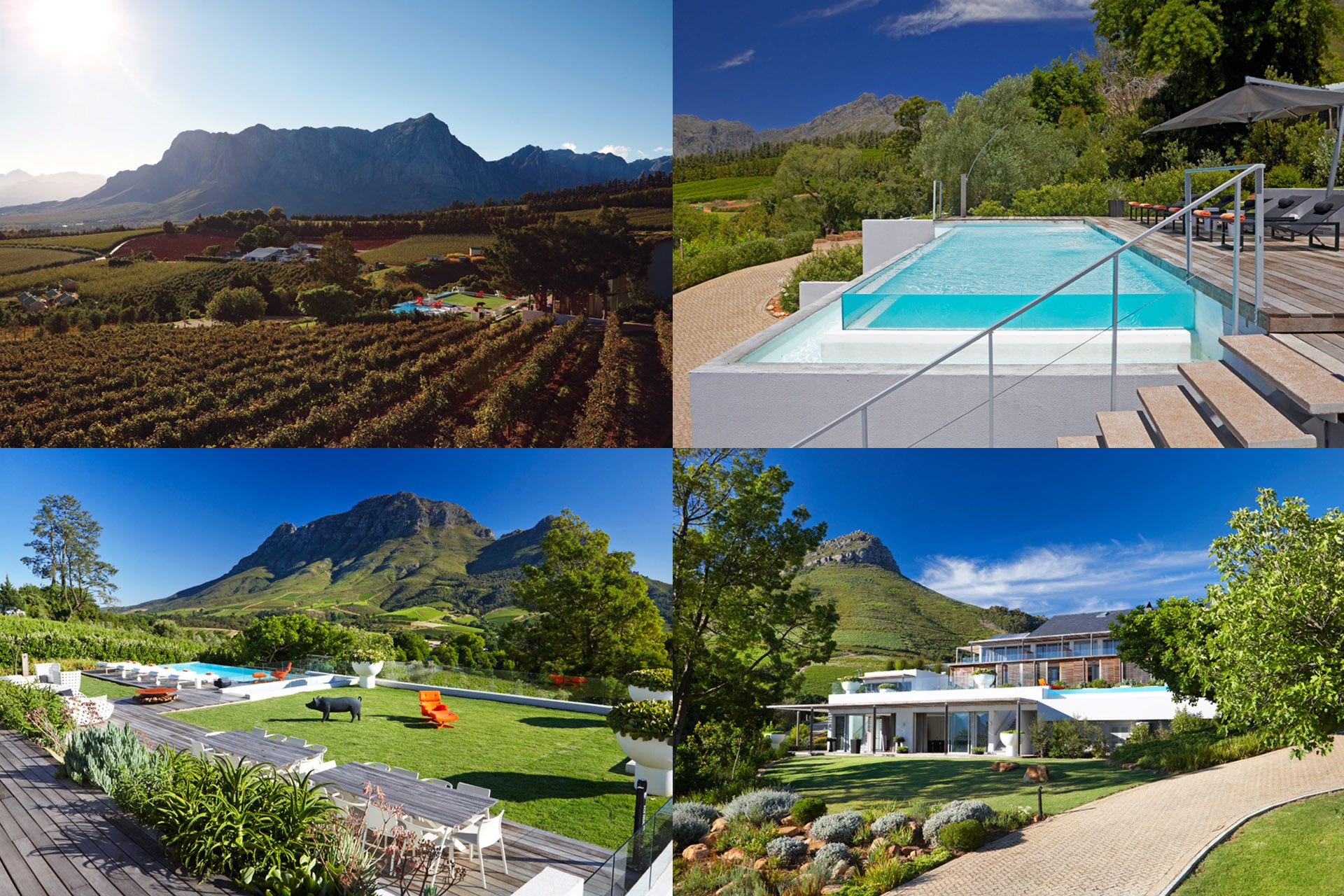 Four photo collage with vineyards, a pool and mountains in the background