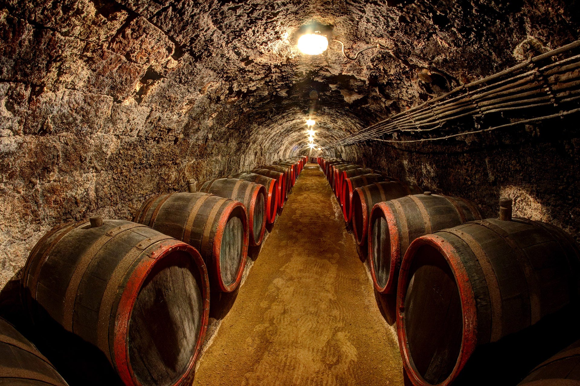 Sweet wines aging in a cellar in Tokaj, Hungary / Getty
