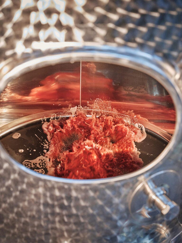 Freshly made wine